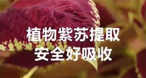 健康与α-亚麻酸