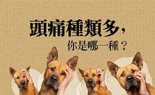 头痛按摩法